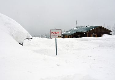 Randonnée A pied Odrodzenie - [Z] U Dívčí lávky - Špindlerova bouda - Photo