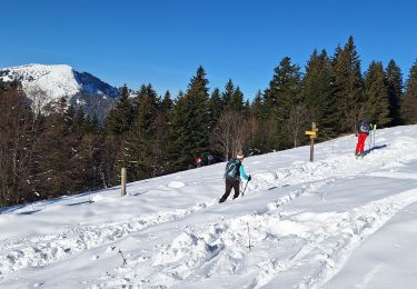 Randonnée Raquettes à neige Plateau-des-Petites-Roches - pravouta raquettes. 16,12,23 - Photo