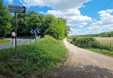 Tocht Stappen Coulommiers-la-Tour - Les Bois d'Huchigny, des Péseries et de Villemalin - Photo