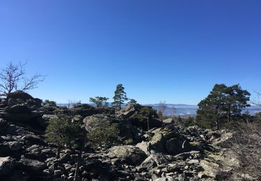 Trail Walking Rosières - Tour du mont Jalore via Roiron - Photo