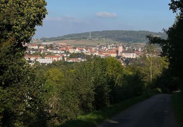 Tour Elektrofahrrad Scharrachbergheim-Irmstett -  Schrrachbergheim - COL des Pandours - Photo