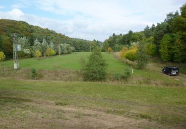 Trail On foot Dienstweiler - Rundweg HW 2 - Photo