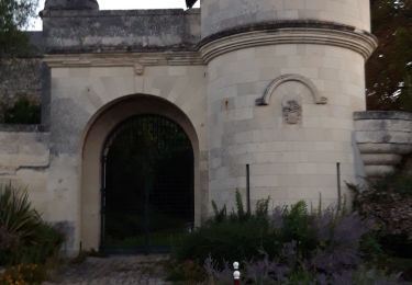 Excursión Senderismo Le Coudray-Macouard - le coudray - Photo