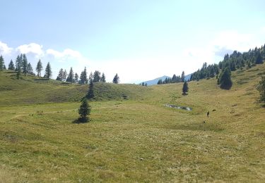 Tour Zu Fuß Roncegno Terme - IT-E372B - Photo