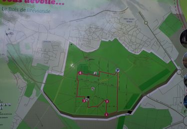 Tour Wandern Vert-Saint-Denis - breviande ( Michel ) - Photo