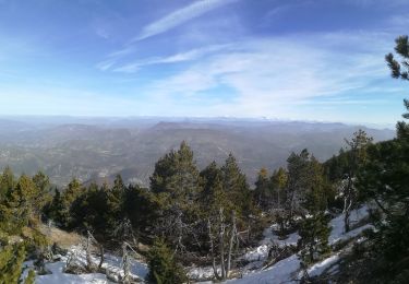 Tour Wandern Bédoin - ventoux Frache fond d angieu - Photo