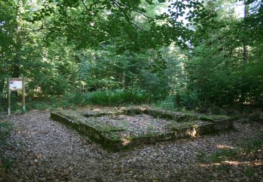 Tour Zu Fuß Michelstadt - Rundwanderweg Würzberg 4 : Hubenweg Würzberg - Photo