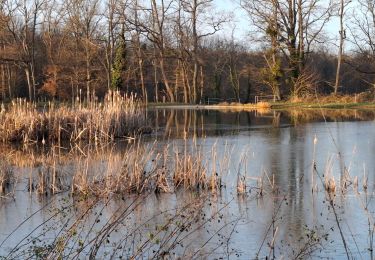 Tour Wandern Saint-Pourçain-sur-Sioule - Petit tour digestif du Nouvel An - Photo