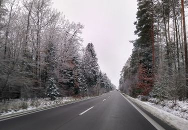 Randonnée A pied Cmolas - Świerczówka - ścieżka dydaktyczna - Photo