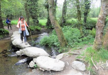 Tour Wandern Palas de Rei - 11.05.18 Palas de Rei--Arzùa - Photo