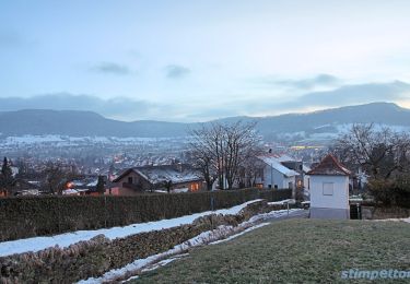 Tocht Te voet Neuffen - blaues Dreieck Neuffen - Schillingskreuz - HW1 (Kniebrech) - Photo