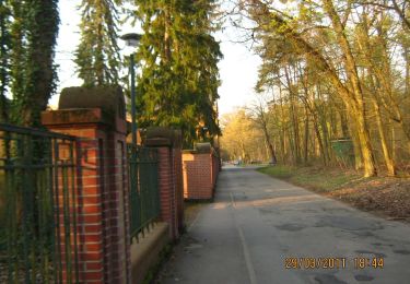 Percorso A piedi Viernheim - Rundwanderweg Viernheim Lampertheimer Straße 1: Grenzweg - Photo