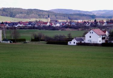 Percorso A piedi Neumarkt in der Oberpfalz - TyrolsbergerWaldrundweg - Photo