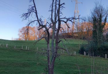 Randonnée Marche Liège - Boucle Bois-de-Breux les Houlpays - Photo