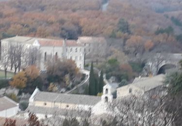 Tocht Stappen Montjoyer - Montjoyer 21 11 - Photo