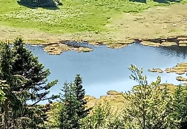 Tocht Stappen La Bresse - Tourbiere Marchey et Lac Rainkopf  - Photo