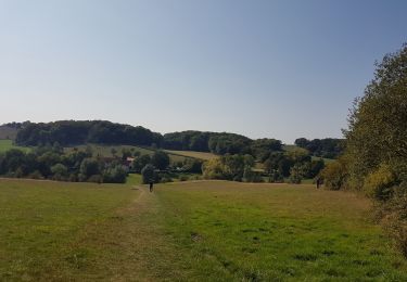 Tocht Stappen Gulpen-Wittem - Slenaken - Pesaken - Euverem - Gulpen - Photo