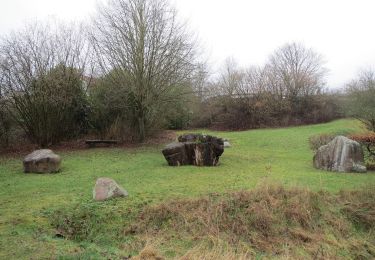 Tour Zu Fuß Auetal - HM8 Rundweg Wehl - Photo