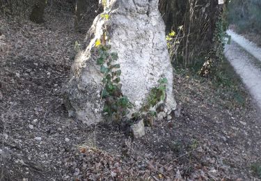Tocht Stappen Valaurie - gym 26 - Photo