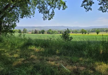 Excursión Bici eléctrica Le Puy-en-Velay - 190522 - Photo