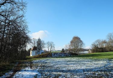 Tocht Te voet Ingoldingen - Rindenmoos: Wanderweg 2 - Photo