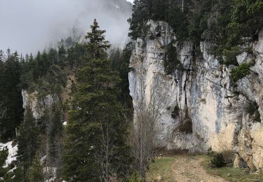Trail Walking Saint-Nizier-du-Moucherotte - La moucherotte  - Photo