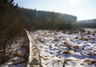 Tour Wandern Malmedy - Malmedy Day 2 - Photo