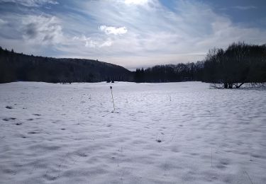 Randonnée Marche Haut Valromey - les plans d automne - Photo