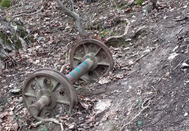 Excursión Senderismo Saint-Quentin-sur-Isère - carriere de l'echaillon - Photo