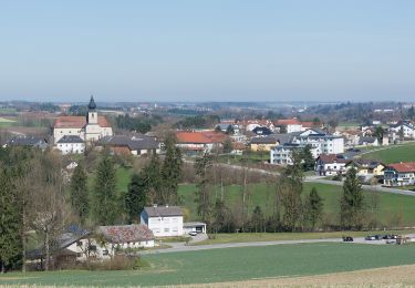 Tocht Te voet Adlwang - Waldlehrpfad Hallerwald - Photo