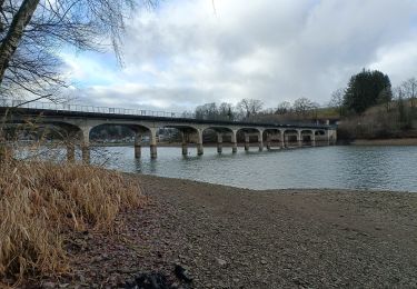 Tocht Stappen Waimes - Lac de Robert ville  - Photo