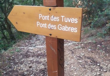 Trail Walking Saint-Cézaire-sur-Siagne - Gorges de Siagne - Photo
