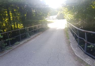 Tour Wandern Zabern - Les 4 châteaux de Saverne - Photo