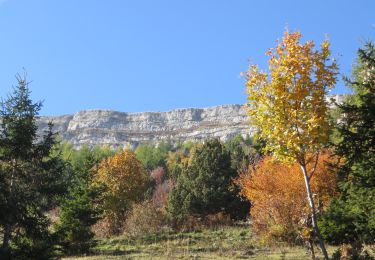 Excursión Carrera Manteyer - Trail 09 - Céüze par le Pas du Loup - Photo