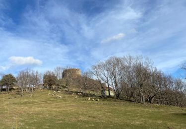 Percorso Marcia Murol - Château de Murol, Lac charbon et dent du marais. - Photo