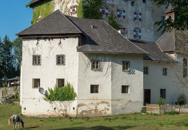 Tocht Te voet Moosburg - Panoramaweg Tigring - Photo