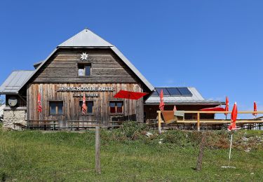 Tocht Te voet Losenstein - Wanderweg 31 - Photo