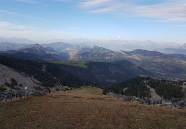 Trail Walking Selonnet - Tête Grosse - Photo