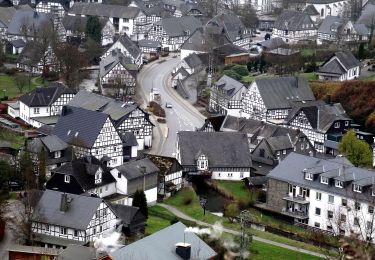 Percorso A piedi Schmallenberg - Oberkirchen Rundweg O2 - Sommerseitenweg - Photo