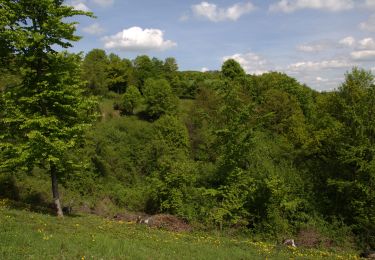 Tocht Te voet Schlüchtern - Elm - Rundwanderweg ELM1 - Photo