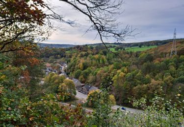 Tour Wandern Spa - SPA 02 - Großherzogin 🟦 - Photo