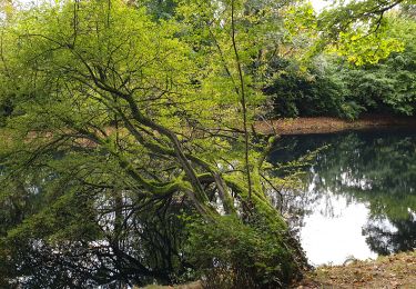 Excursión Senderismo Auderghem - Oudergem - Rouge-Cloître - Etangs Mellaerts - Photo