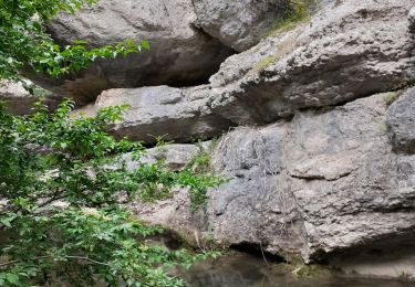 Trail Walking Mazaugues - Saut du Cabri gorges du Carami - Photo