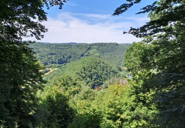 Trail Walking Bouillon - la balade des points de vue n 1 - Photo