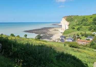 Trail Walking Sassetot-le-Mauconduit - Chateau de Sissi -St Pierre- les Dalles - Photo