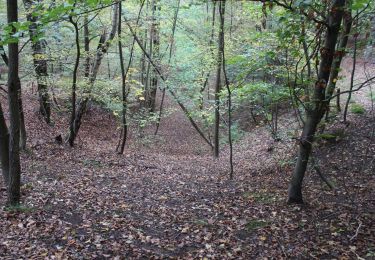 Tocht Te voet Böblingen - DE-SAV Blauer Punkt, von Böblingen Lange Schläge - Thermalbadkreuzung - Photo