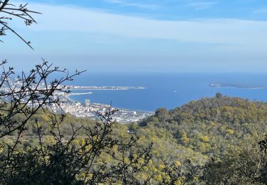 Trail Walking Mandelieu-la-Napoule - Circuit du grand Duc V1 - Photo