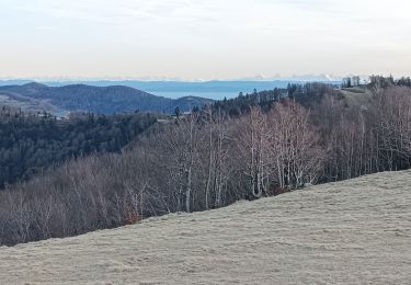 Percorso Camminata nordica Lepuix - Autour du Ballon d'Alsace - Photo