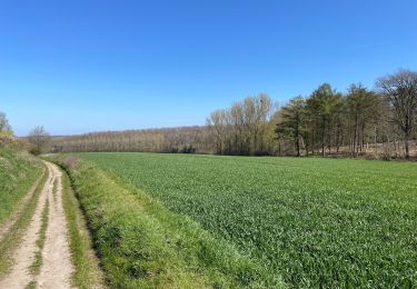 Trail Walking Chaumont-Gistoux - BE-Chaumont-Gistoux - Le Bercuit par Dion-le-Val - blog le bruant wallon - Photo