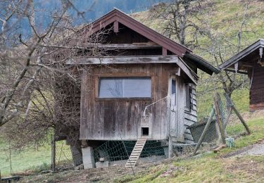 Trail On foot Brannenburg - Wanderweg 6 - Brannenburg - Photo